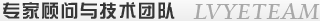 綠葉創新人才及服務團隊